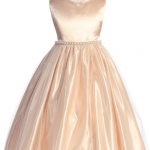 SAI CLOTHING ARTICLE # 1105 Blush Tulle Dress